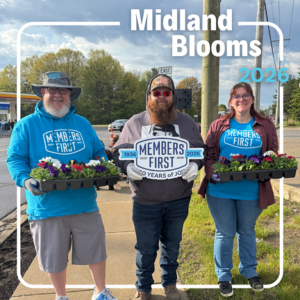 midland blooms